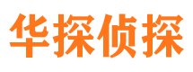 大新市调查公司